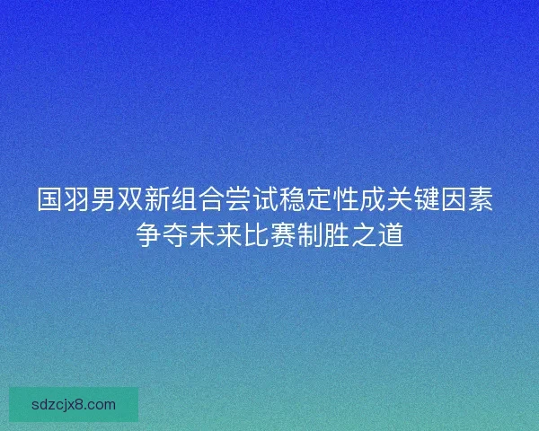 国羽男双新组合尝试稳定性成关键因素 争夺未来比赛制胜之道